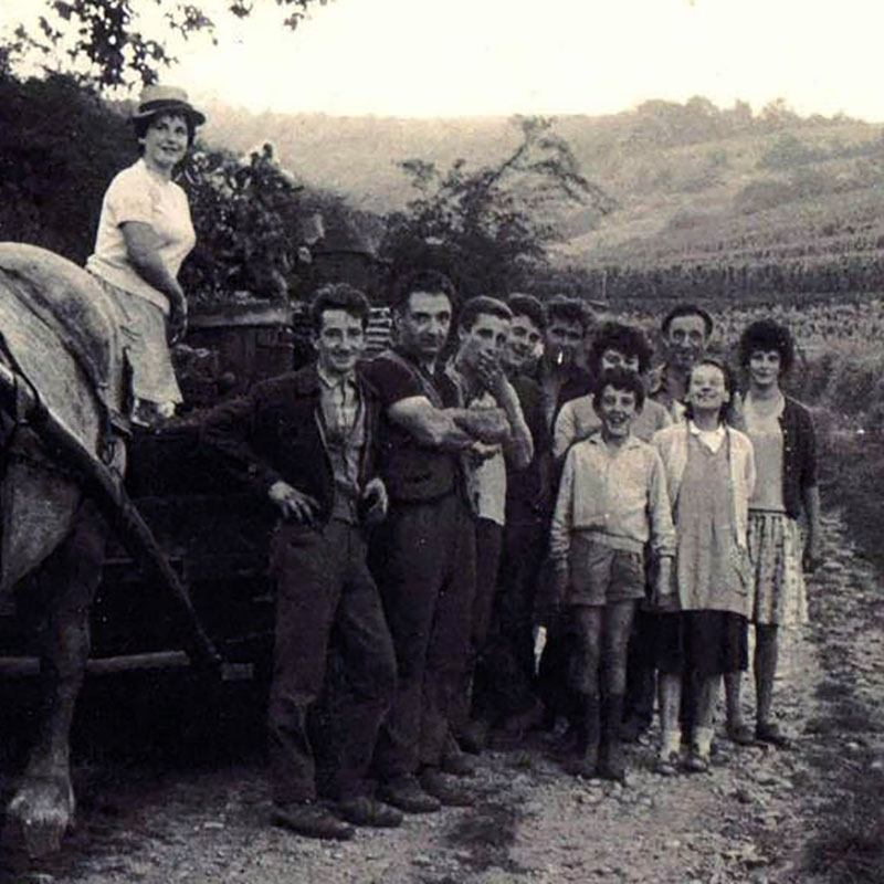 famille thibert pouilly-fuissé enfants